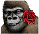 Sticker from Gorilla Gorilla 2