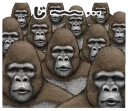 Sticker from Gorilla Gorilla