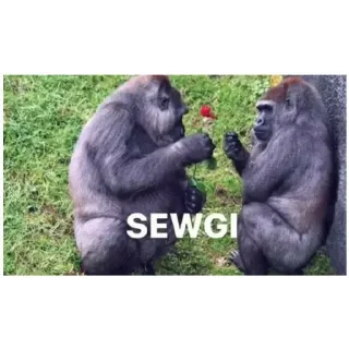 Sticker from Gorilla