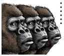 Sticker from Gorilla Gorilla