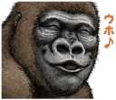 Sticker from Gorilla Gorilla 2