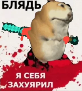 🌟 emoji Информативный чомик @find_the_chomiks Telegram sticker 21 of 105
