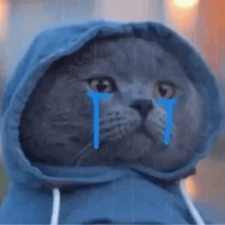 😭 emoji ᯓBᴜʟʟsʜɪᴛ | @itzhn0 Telegram sticker 14 of 120