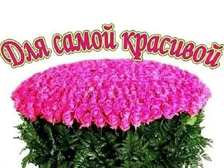 моля (( @kqwiexd )) sticker 4