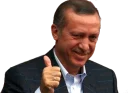 👍 emoji RTE Telegram sticker 5 of 42
