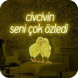 Sticker from Elizabeth ve civciv