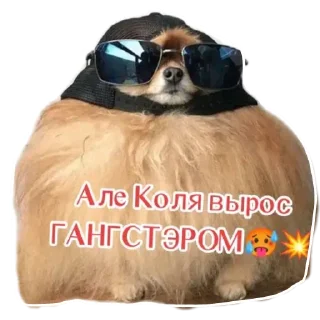 Sticker from No funny funny
