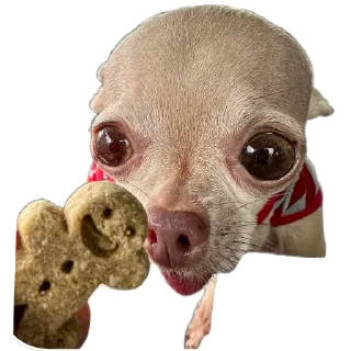 Sticker from No funny funny