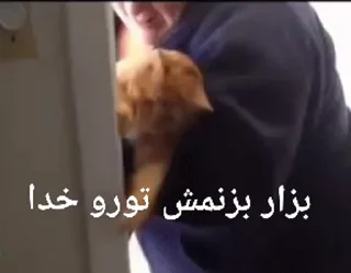 😡 emoji گلچین گیف های مزخرف Telegram sticker 23 of 47