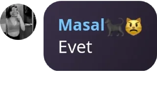 👴 emoji 🇹🇷 SOHBET KUŞAĞI 🎗 pack by @QuotLyBot Telegram sticker 9 of 120