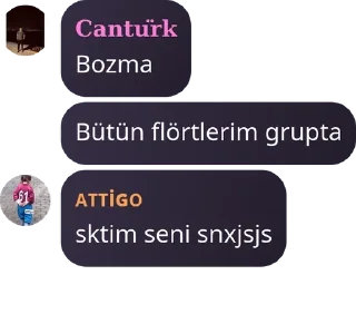 Sticker from Sohbet Durağı 🇹🇷 pack by @QuotLyBot