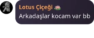 🏴󠁧󠁢󠁳󠁣󠁴󠁿 emoji 🇹🇷 SOHBET KUŞAĞI 🎗 pack by @QuotLyBot Telegram sticker 14 of 120
