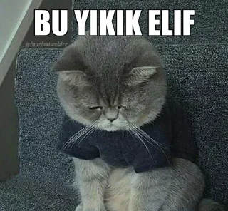 🥺 emoji @DertliVitorcu | 🌃 @OwenUserBot Paketi | 1 Telegram sticker 24 of 34