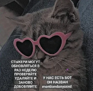 ‼️ emoji ЭДИК КРАШ 💗 Telegram sticker 9 of 11