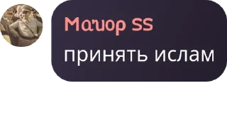 🧖 emoji КЦО | Координационный Центр Оппозиции Telegram sticker 8 of 97