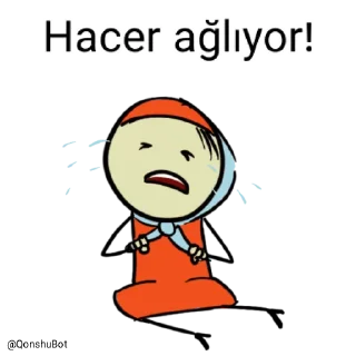 😭 emoji Hacer @Qonshubot Telegram sticker 14 of 31