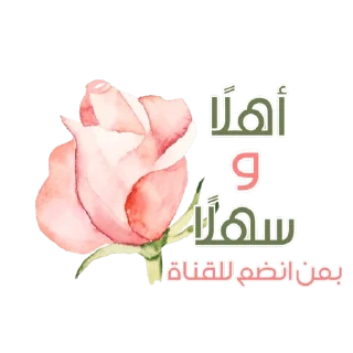 Sticker from حلقات زادُ الفؤاد 🤍🍃