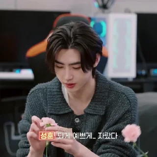 📹 emoji Park Sunghoon ˓ @PackEnhypen Telegram sticker 3 of 40