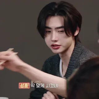 📹 emoji Park Sunghoon ˓ @PackEnhypen Telegram sticker 15 of 40