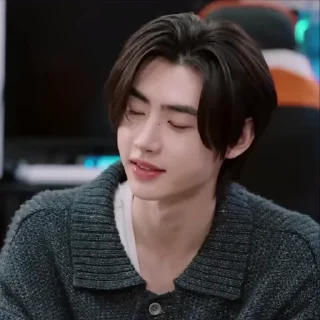 📹 emoji Park Sunghoon ˓ @PackEnhypen Telegram sticker 11 of 40