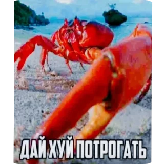 🖼 emoji Хуевые Пикчи от @SandXxD Telegram sticker 17 of 93