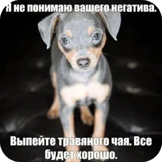 🐶 emoji Хуевые Пикчи от @SandXxD Telegram sticker 19 of 93