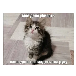 🐱 emoji Хуевые Пикчи от @SandXxD Telegram sticker 14 of 93