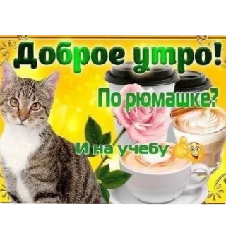 🐱 emoji Хуевые Пикчи от @SandXxD Telegram sticker 5 of 93