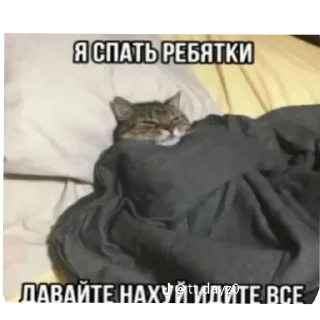 🐱 emoji Хуевые Пикчи от @SandXxD Telegram sticker 4 of 93