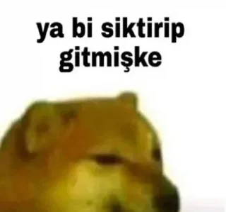 🐶 emoji @sidarpolatcan @AsenaUserBot Paketi 1 Telegram sticker 3 of 120