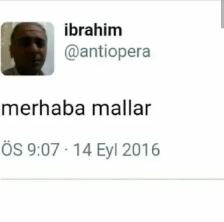 🌟 emoji @sidarpolatcan @AsenaUserBot Paketi 1 Telegram sticker 23 of 120