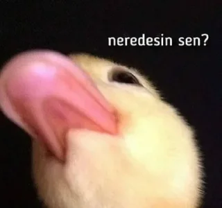 🌟 emoji @sidarpolatcan @AsenaUserBot Paketi 1 Telegram sticker 7 of 120