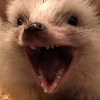 😜 emoji Больше стиков тут: @stikery4 Telegram sticker 4 of 41