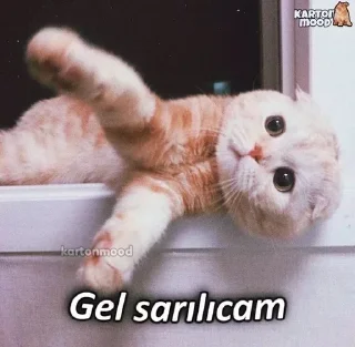 ❤️ emoji @HzHoca @AsenaUserBot Paketi 1 Telegram sticker 17 of 120