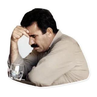 😔 emoji Çirûsk packet Telegram sticker 16 of 88