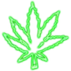 🍁 emoji NirvanaSlot Telegram sticker 15 of 145