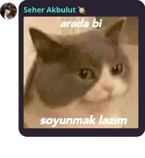 🦶 emoji Maça kızı 8 pack by @QuotLyBot Telegram sticker 17 of 120