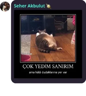 🧑‍🎨 emoji Maça kızı 8 pack by @QuotLyBot Telegram sticker 14 of 120