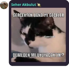 👱‍♀️ emoji Maça kızı 8 pack by @QuotLyBot Telegram sticker 10 of 120