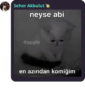 🦢 emoji Maça kızı 8 pack by @QuotLyBot Telegram sticker 22 of 120