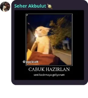 🛻 emoji Maça kızı 8 pack by @QuotLyBot Telegram sticker 15 of 120