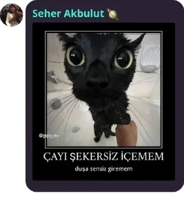 👨‍👨‍👦‍👦 emoji Maça kızı 8 pack by @QuotLyBot Telegram sticker 21 of 120