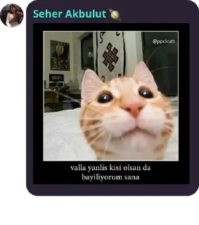 🙋 emoji Maça kızı 8 pack by @QuotLyBot Telegram sticker 24 of 120