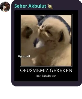 🆚 emoji Maça kızı 8 pack by @QuotLyBot Telegram sticker 13 of 120