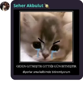 🧑‍🦲 emoji Maça kızı 8 pack by @QuotLyBot Telegram sticker 16 of 120