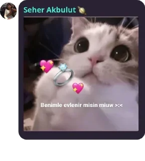 👩‍🦽 emoji Maça kızı 8 pack by @QuotLyBot Telegram sticker 19 of 120