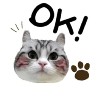 🤙 emoji @nnippon's kang pack Vol.1 Telegram sticker 8 of 27