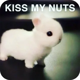 ❤ emoji амфетаминовый шик Telegram sticker 8 of 39