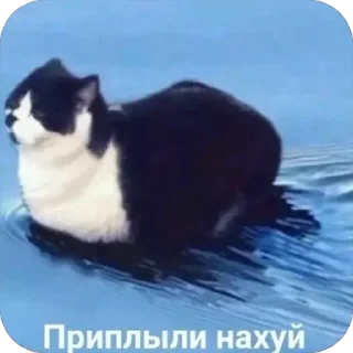 😶 emoji амфетаминовый шик Telegram sticker 24 of 39