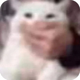😨 emoji амфетаминовый шик Telegram sticker 20 of 39